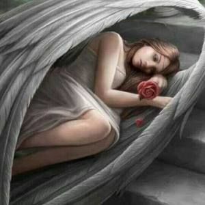 Meet your Posher, Ana